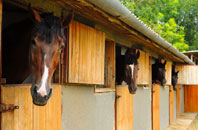 free Barden Park stable construction quotes
